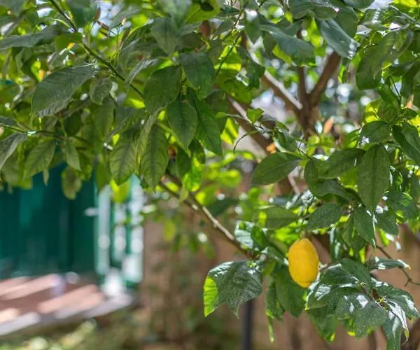 Kitty - Close To The Vatican *